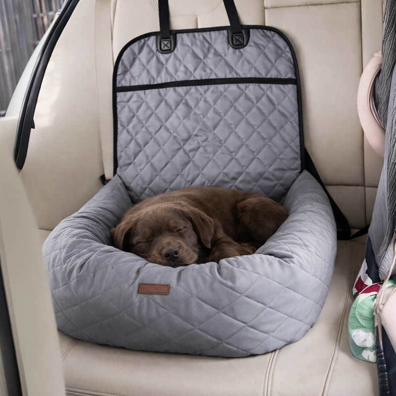 2-in-1 Comfort Car Seat & Bed