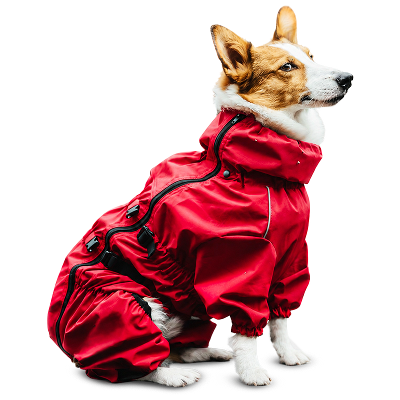 All-Season Raincoat