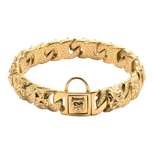 CrownBully Chain Collar
