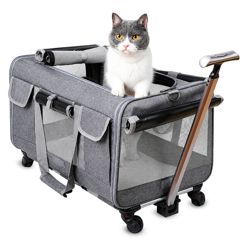PawVoyage Pet Carrier