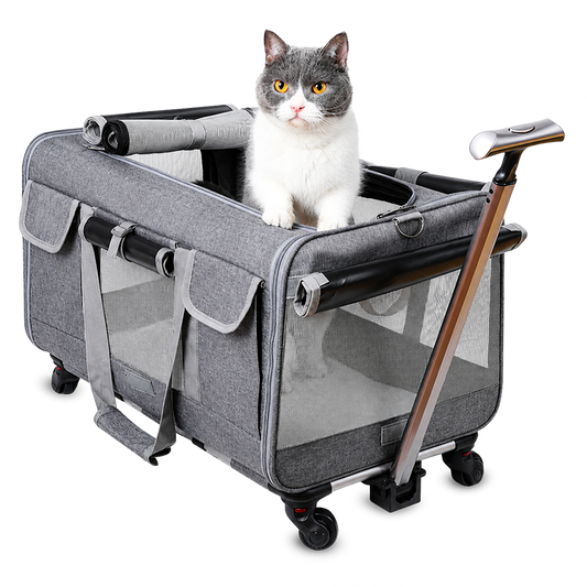PawVoyage Pet Carrier