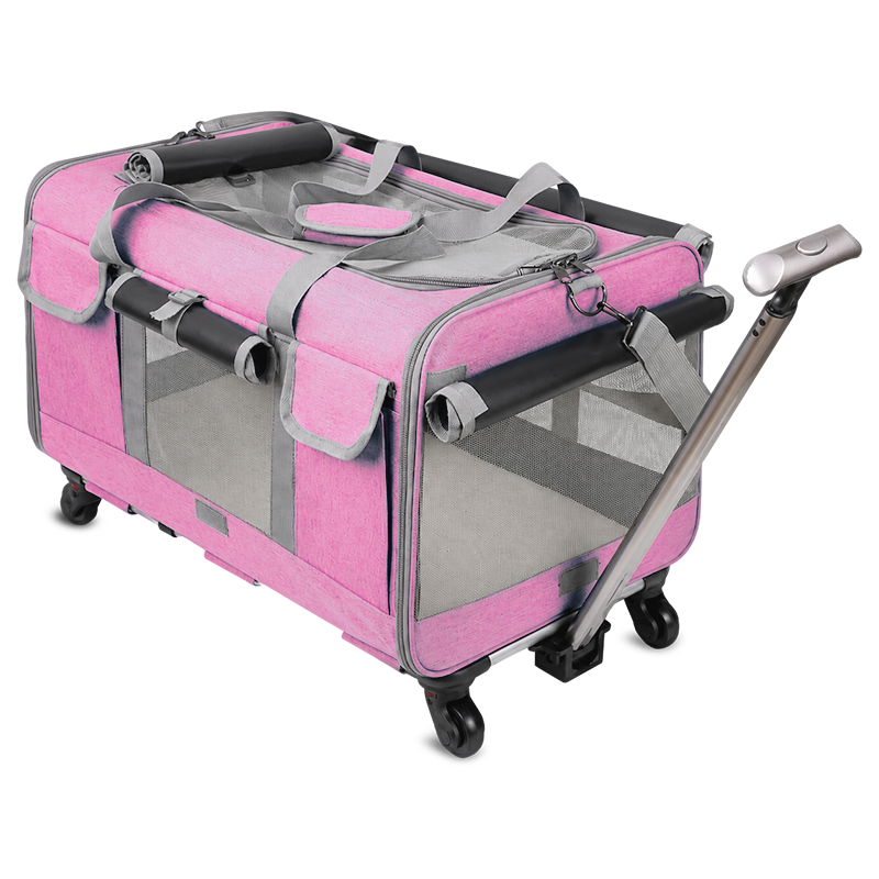 PawVoyage Pet Carrier