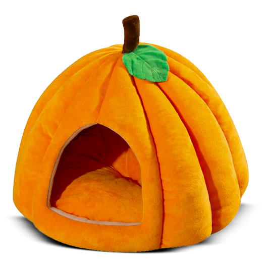 Pumpkin Pet Cave