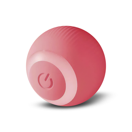 SmartChase Auto-Rolling Ball