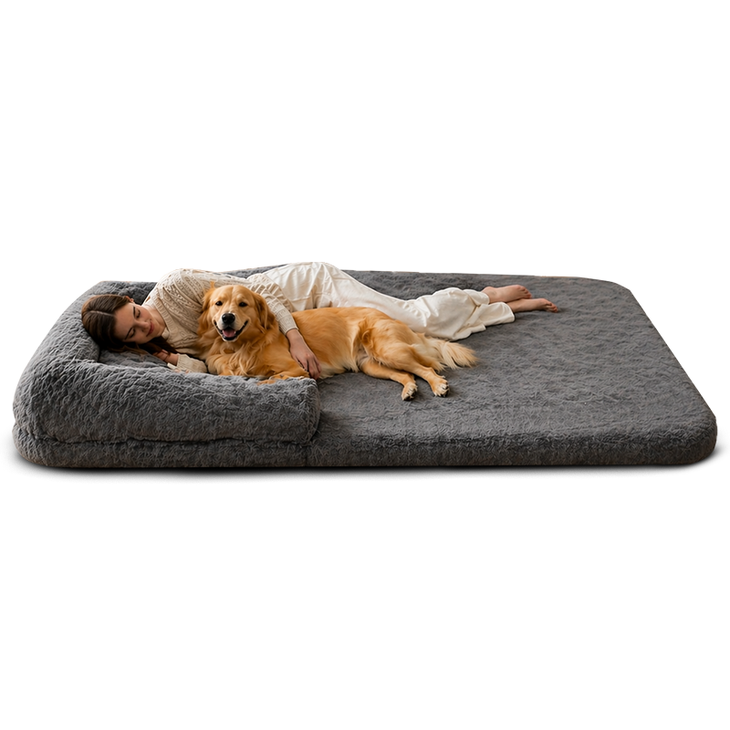 Snuggle Sofa Dog Bed