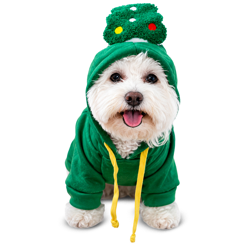 Christmas Tree Pet Hoodie