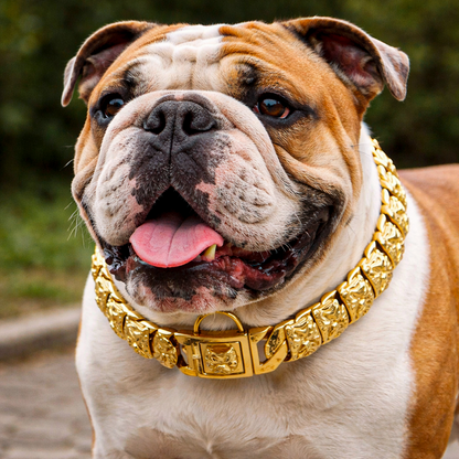 CrownBully Chain Collar